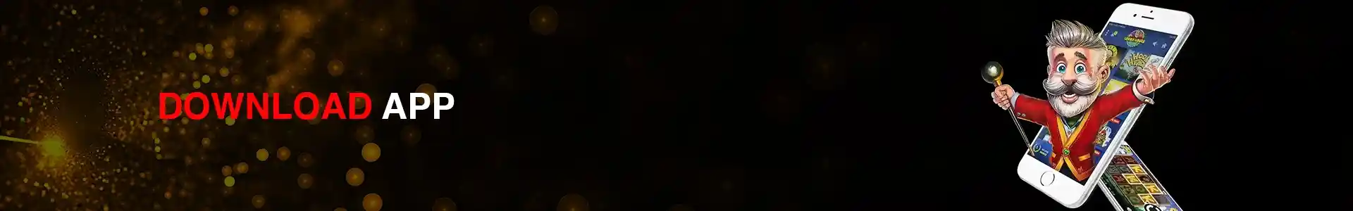 333JL login screen on mobile device showing user-friendly interface