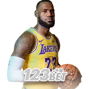 333JL basketball betting screen on tablet